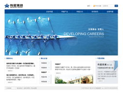杭州网站定制化开发与实践探索